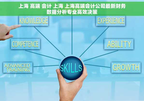 上海 高端 会计 上海 上海高端会计公司最新财务数据分析专业高效决策
