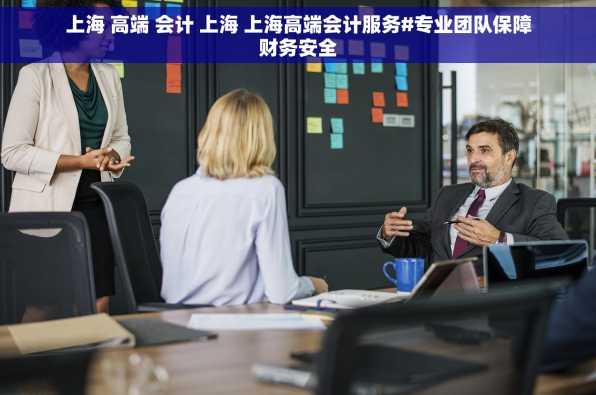 上海 高端 会计 上海 上海高端会计服务#专业团队保障财务安全