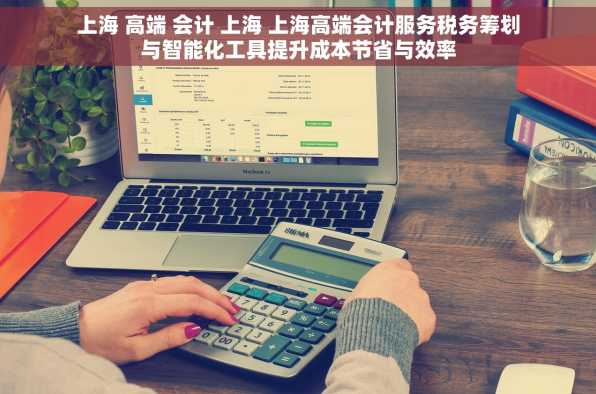上海 高端 会计 上海 上海高端会计服务税务筹划与智能化工具提升成本节省与效率