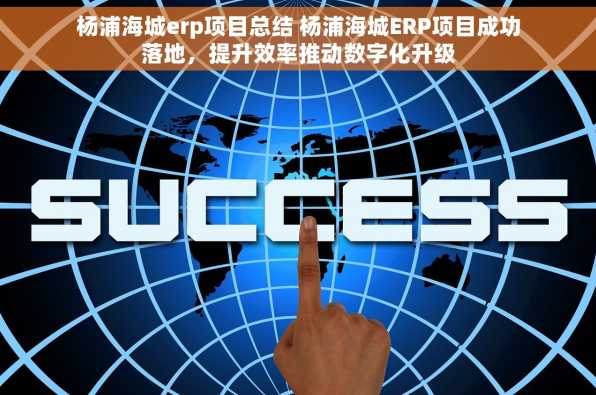杨浦海城erp项目总结 杨浦海城ERP项目成功落地，提升效率推动数字化升级