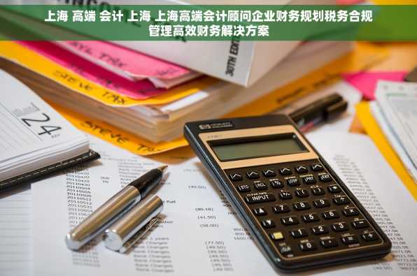 上海 高端 会计 上海 上海高端会计顾问企业财务规划税务合规管理高效财务解决方案