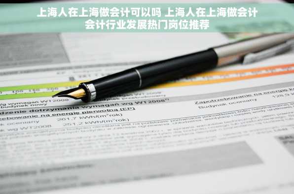 上海人在上海做会计可以吗 上海人在上海做会计会计行业发展热门岗位推荐
