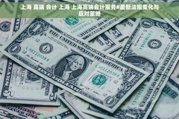 上海 高端 会计 上海 上海高端会计服务#最新法规变化与应对策略