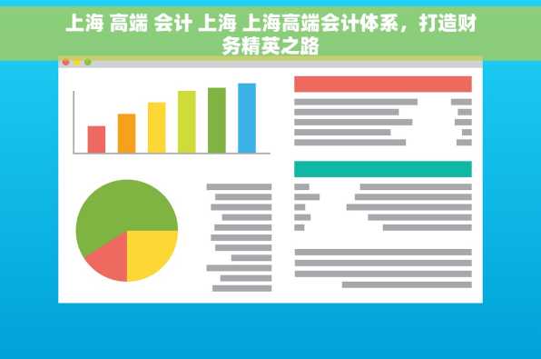 上海 高端 会计 上海 上海高端会计体系，打造财务精英之路