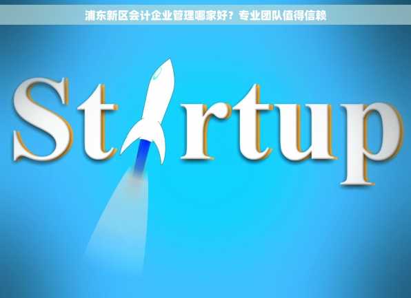 浦东新区会计企业管理哪家好？专业团队值得信赖