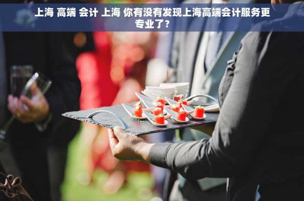 上海 高端 会计 上海 你有没有发现上海高端会计服务更专业了？