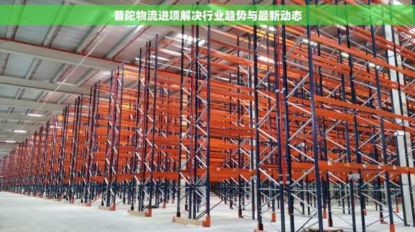 普陀物流进项解决行业趋势与最新动态