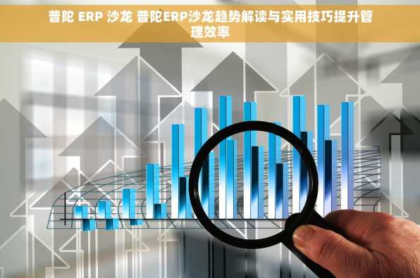 普陀 ERP 沙龙 普陀ERP沙龙趋势解读与实用技巧提升管理效率