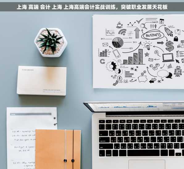 上海 高端 会计 上海 上海高端会计实战训练，突破职业发展天花板