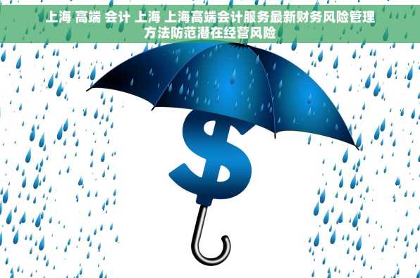 上海 高端 会计 上海 上海高端会计服务最新财务风险管理方法防范潜在经营风险