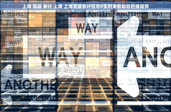 上海 高端 会计 上海 上海高端会计信息#实时更新助您把握趋势