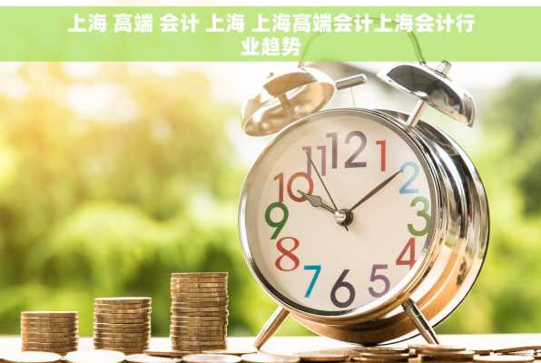 上海 高端 会计 上海 上海高端会计上海会计行业趋势