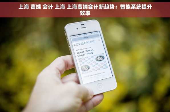 上海 高端 会计 上海 上海高端会计新趋势：智能系统提升效率