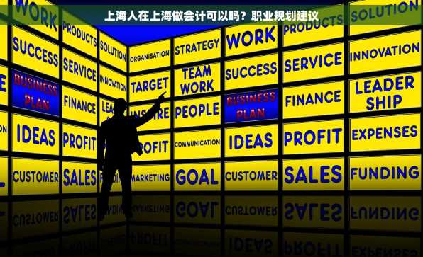 上海人在上海做会计可以吗？职业规划建议