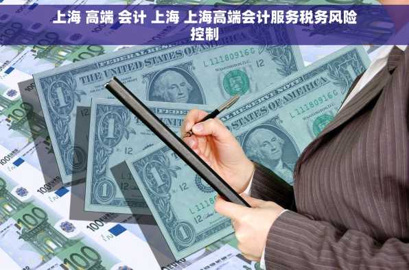 上海 高端 会计 上海 上海高端会计服务税务风险控制
