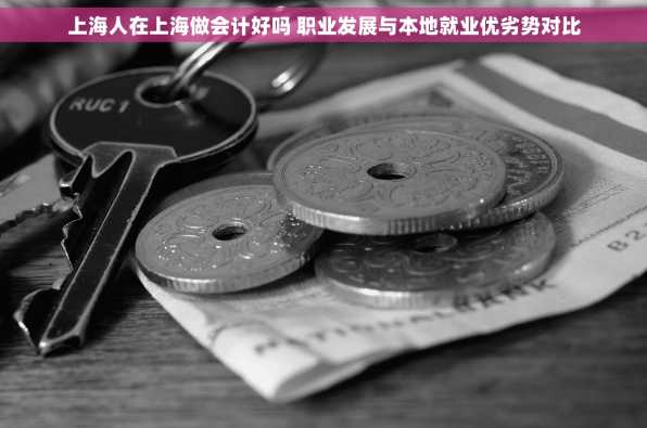 上海人在上海做会计好吗 职业发展与本地就业优劣势对比