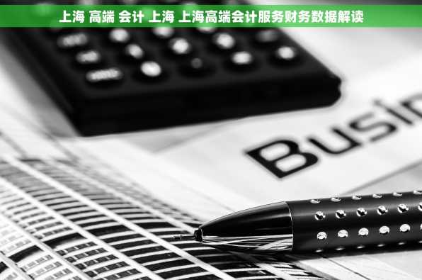 上海 高端 会计 上海 上海高端会计服务财务数据解读