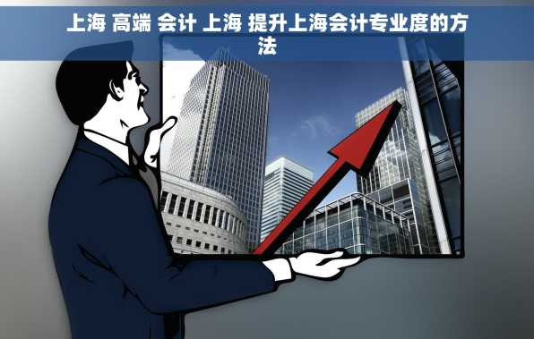 上海 高端 会计 上海 提升上海会计专业度的方法