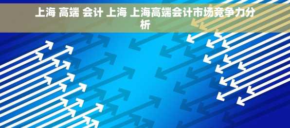 上海 高端 会计 上海 上海高端会计市场竞争力分析