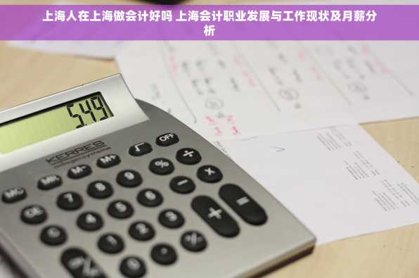 上海人在上海做会计好吗 上海会计职业发展与工作现状及月薪分析