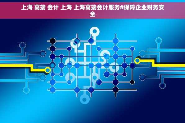 上海 高端 会计 上海 上海高端会计服务#保障企业财务安全