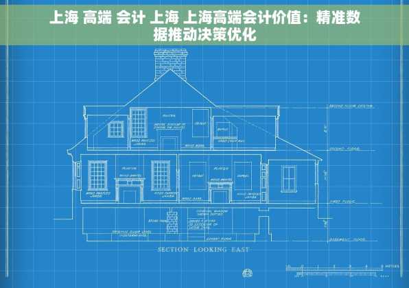 上海 高端 会计 上海 上海高端会计价值：精准数据推动决策优化
