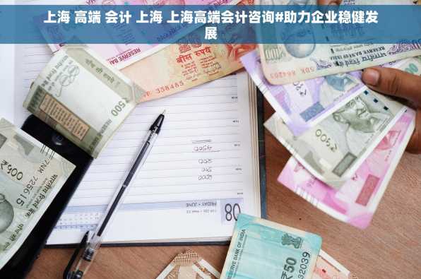 上海 高端 会计 上海 上海高端会计咨询#助力企业稳健发展