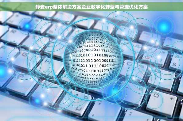 静安erp整体解决方案企业数字化转型与管理优化方案