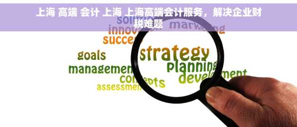 上海 高端 会计 上海 上海高端会计服务，解决企业财税难题