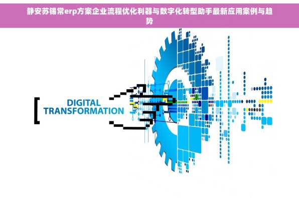 静安苏锡常erp方案企业流程优化利器与数字化转型助手最新应用案例与趋势