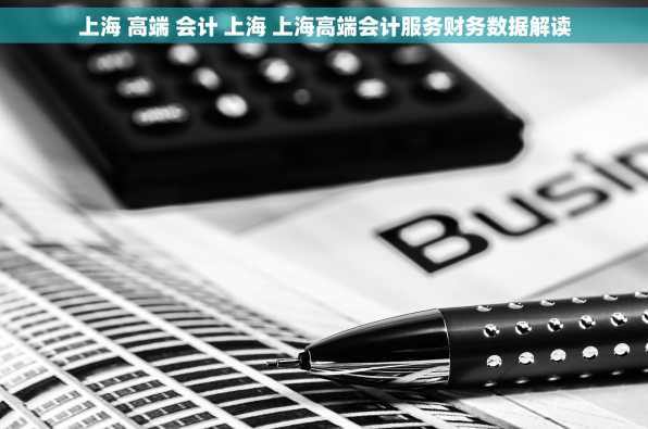 上海 高端 会计 上海 上海高端会计服务财务数据解读