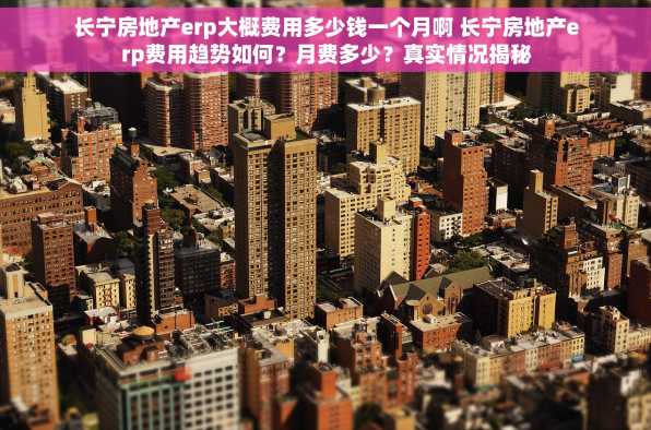 长宁房地产erp大概费用多少钱一个月啊 长宁房地产erp费用趋势如何？月费多少？真实情况揭秘