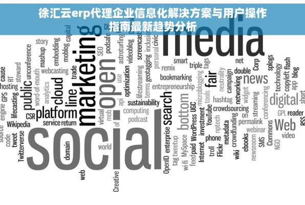 徐汇云erp代理企业信息化解决方案与用户操作指南最新趋势分析