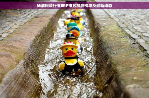 杨浦服装行业ERP排名权威榜单及最新动态
