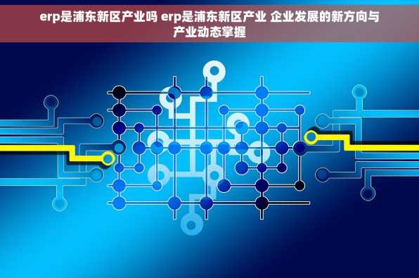 erp是浦东新区产业吗 erp是浦东新区产业 企业发展的新方向与产业动态掌握