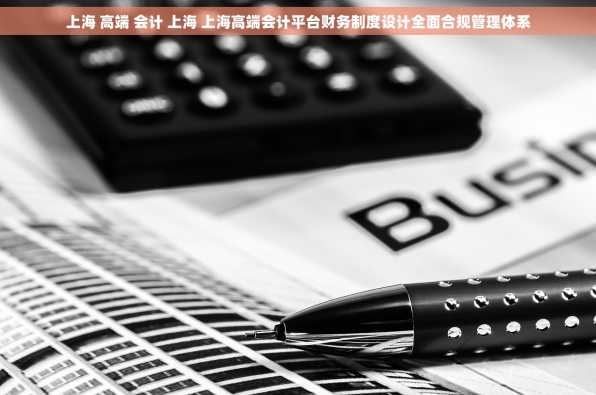 上海 高端 会计 上海 上海高端会计平台财务制度设计全面合规管理体系
