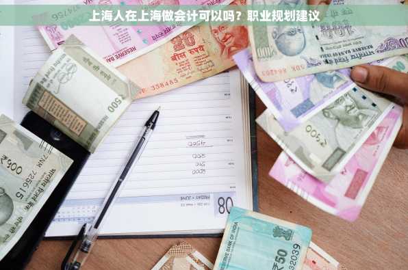 上海人在上海做会计可以吗？职业规划建议