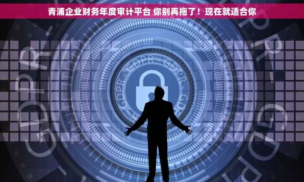 青浦企业财务年度审计平台 你别再拖了！现在就适合你