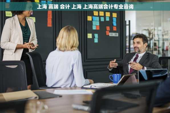 上海 高端 会计 上海 上海高端会计专业咨询