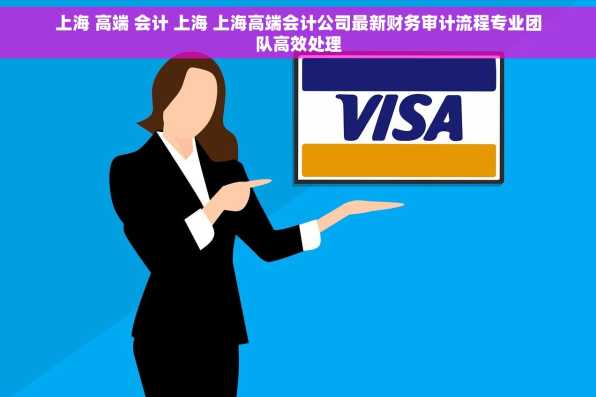 上海 高端 会计 上海 上海高端会计公司最新财务审计流程专业团队高效处理
