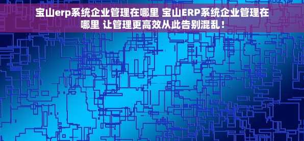 宝山erp系统企业管理在哪里 宝山ERP系统企业管理在哪里 让管理更高效从此告别混乱！