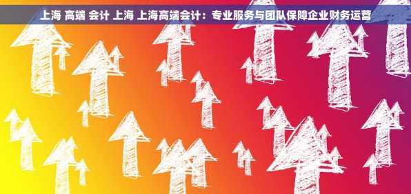 上海 高端 会计 上海 上海高端会计：专业服务与团队保障企业财务运营