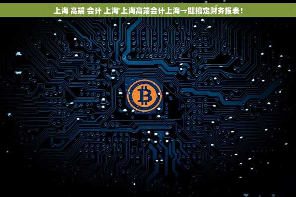 上海 高端 会计 上海 上海高端会计上海一键搞定财务报表！
