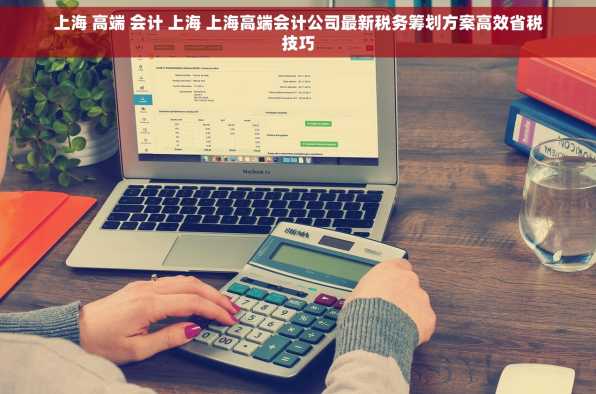 上海 高端 会计 上海 上海高端会计公司最新税务筹划方案高效省税技巧