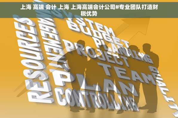 上海 高端 会计 上海 上海高端会计公司#专业团队打造财税优势