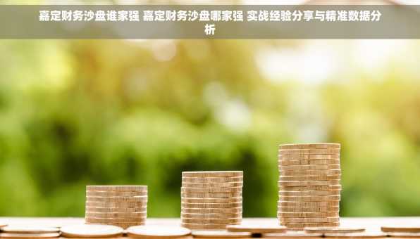 嘉定财务沙盘谁家强 嘉定财务沙盘哪家强 实战经验分享与精准数据分析