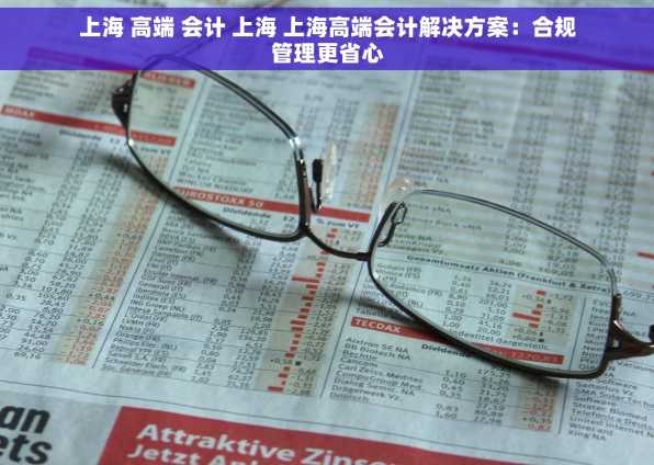 上海 高端 会计 上海 上海高端会计解决方案：合规管理更省心