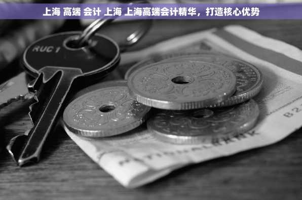 上海 高端 会计 上海 上海高端会计精华，打造核心优势