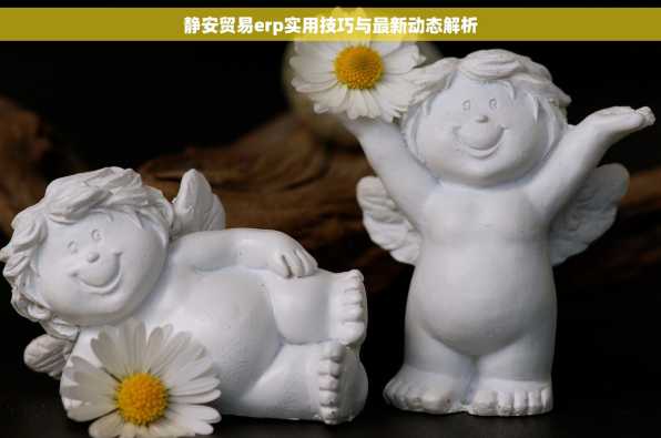 静安贸易erp实用技巧与最新动态解析