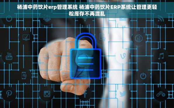 杨浦中药饮片erp管理系统 杨浦中药饮片ERP系统让管理更轻松库存不再混乱